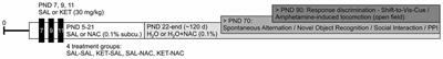 Antioxidant Treatment with N-acetyl Cysteine Prevents the Development of Cognitive and Social Behavioral Deficits that Result from Perinatal Ketamine Treatment